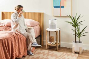 air purifiers for dust