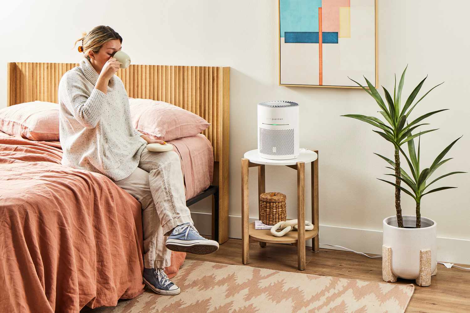 air purifiers for dust